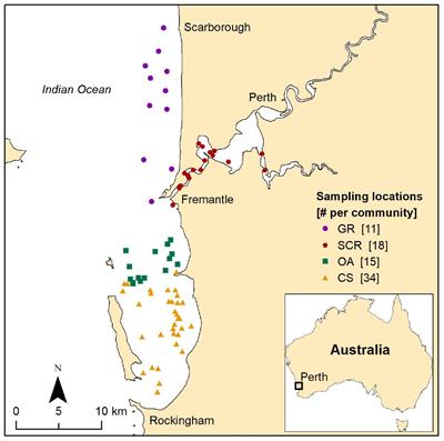 Inconsistency Between Socio-Spatial and Genetic Structure in a Coastal Dolphin Population